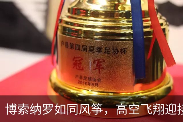 博索纳罗如同风筝，高空飞翔迎接新盟友！